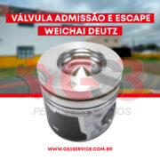 Válvula Admissão e Escape Weichai Deutz